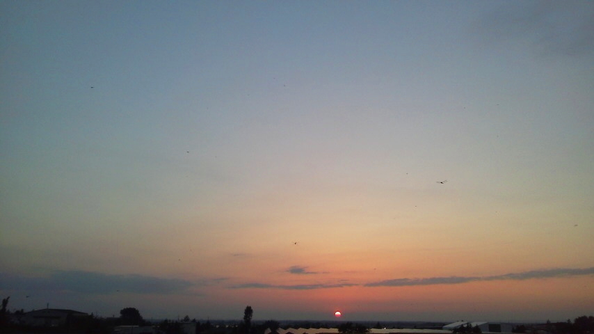 f:id:nyancotan:20200827181100j:plain