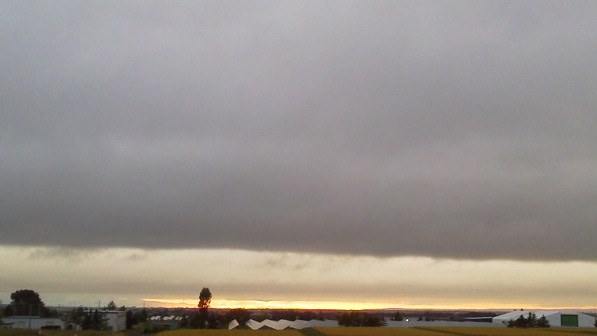 f:id:nyancotan:20200904175100j:plain