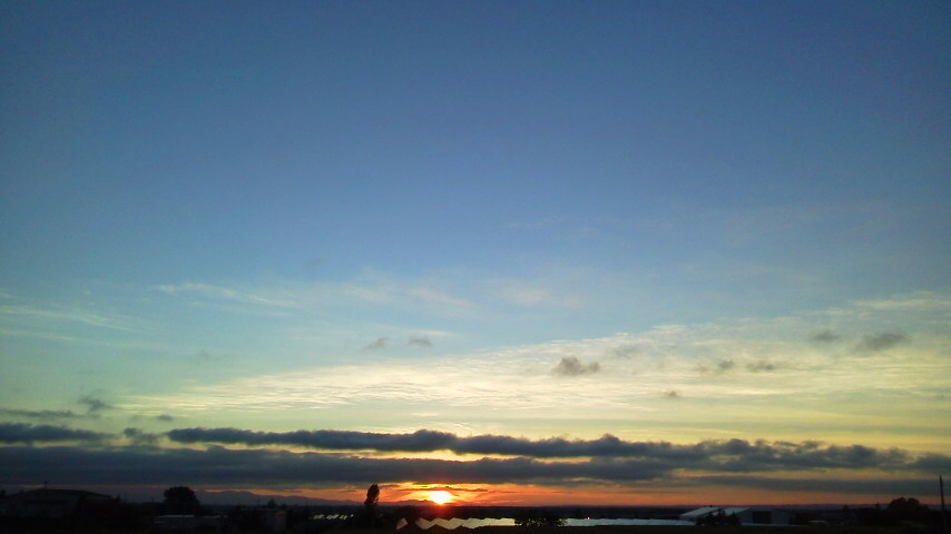 f:id:nyancotan:20200906175700j:plain