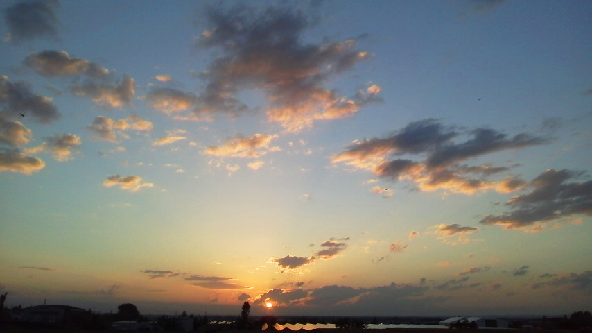 f:id:nyancotan:20200908174900j:plain