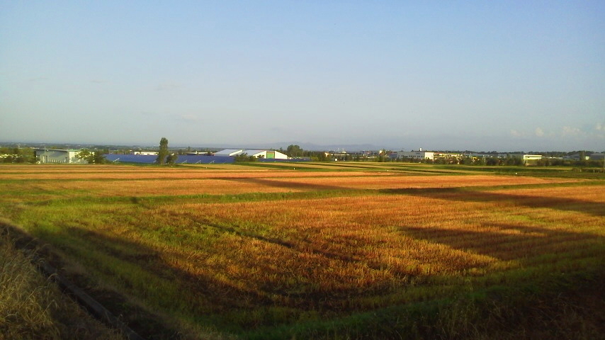 f:id:nyancotan:20200919061800j:plain