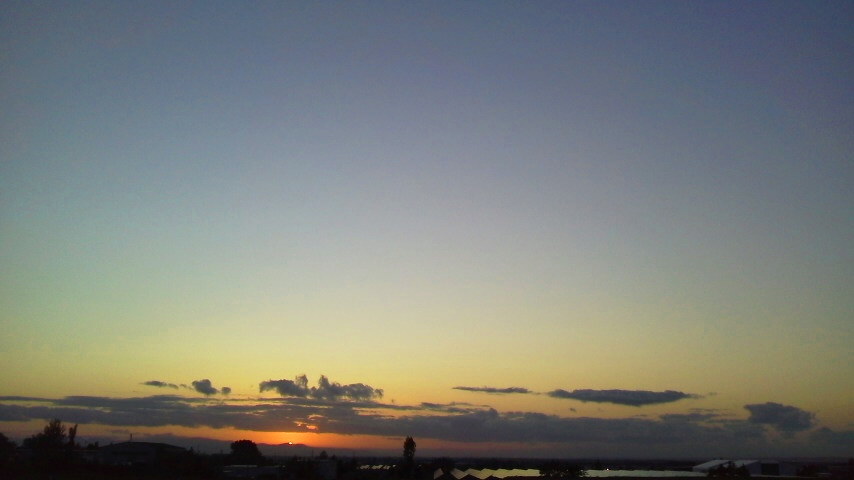 f:id:nyancotan:20200928171400j:plain