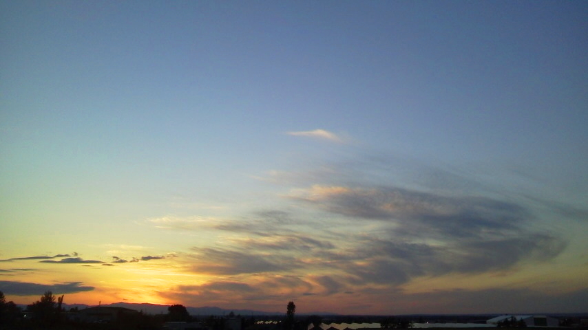 f:id:nyancotan:20201009165700j:plain f:id:nyancotan:20201009165700j:plain