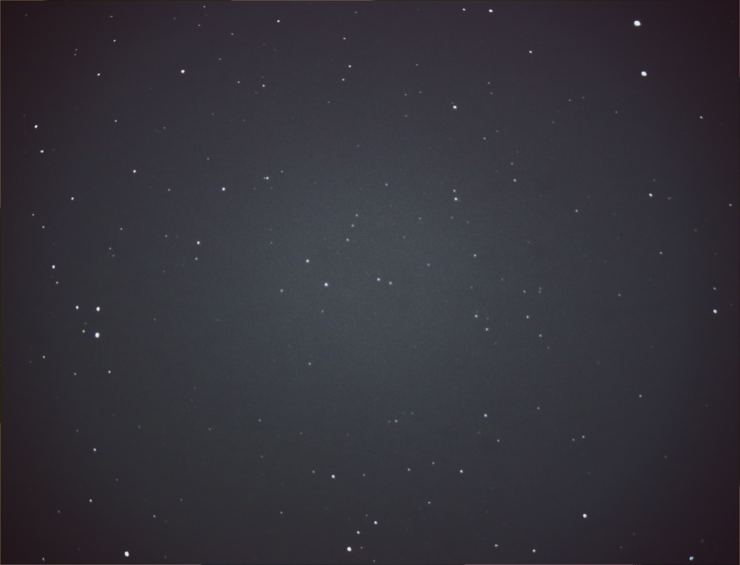 f:id:nyancotan:20201013071714j:plain