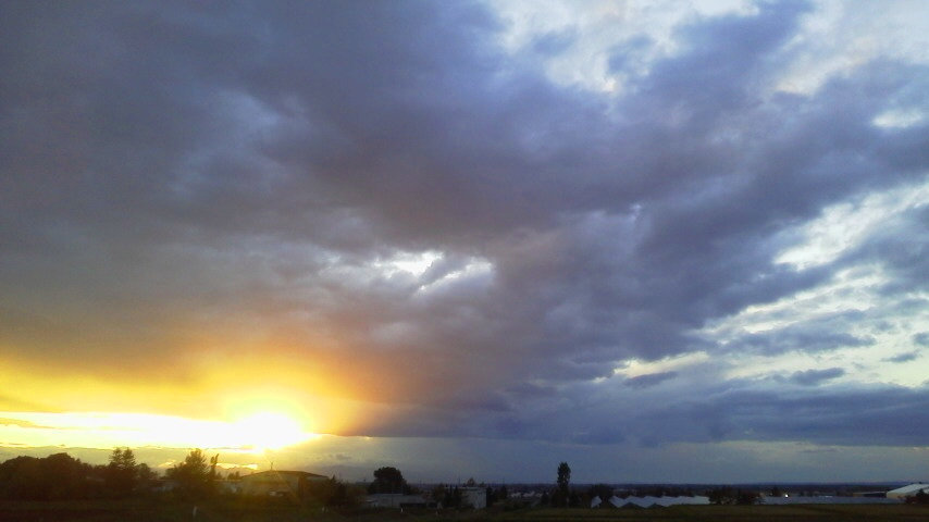 f:id:nyancotan:20201016163500j:plain