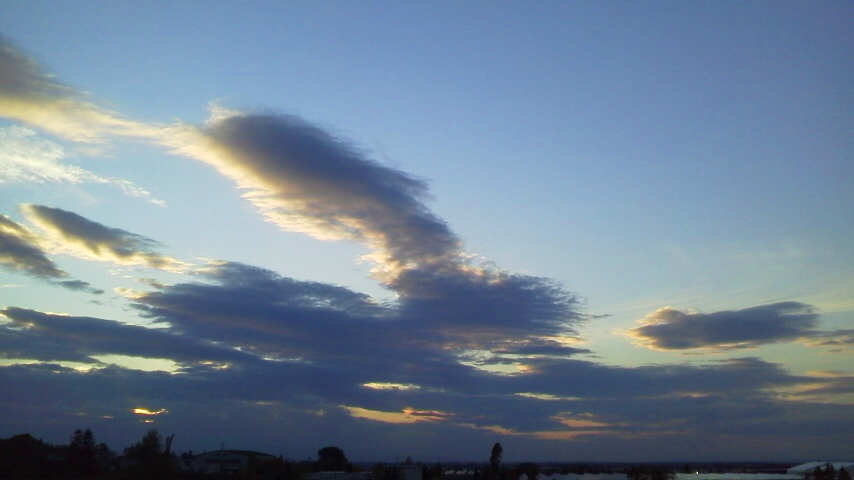 f:id:nyancotan:20201022162600j:plain