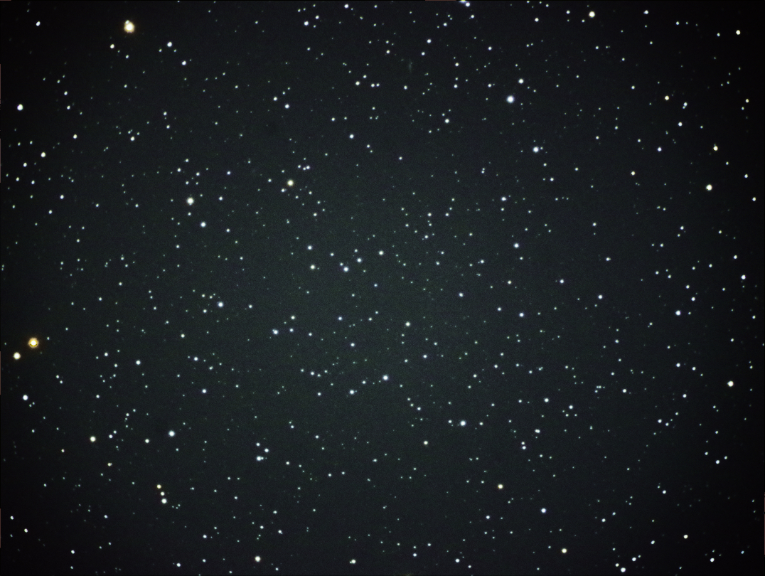 f:id:nyancotan:20201023070400j:plain