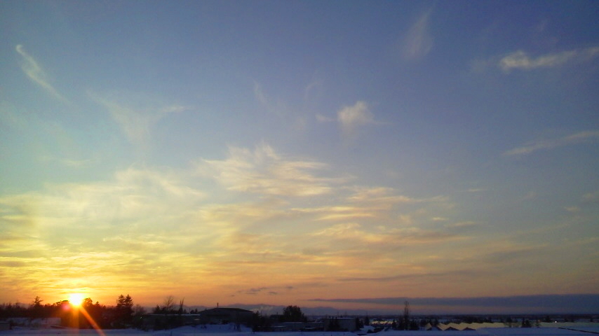 f:id:nyancotan:20201112160100j:plain