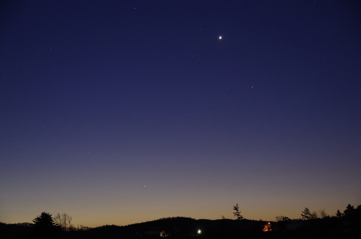 f:id:nyancotan:20201115052011j:plain