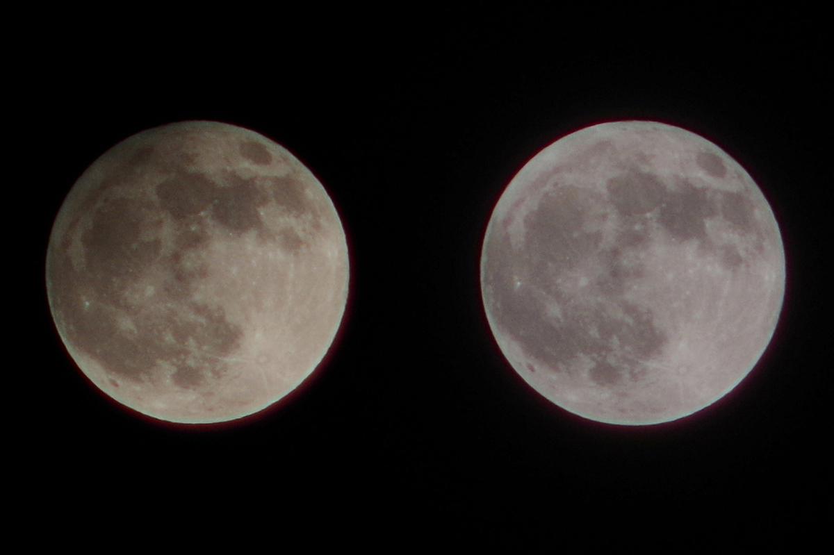 f:id:nyancotan:20201201094550j:plain