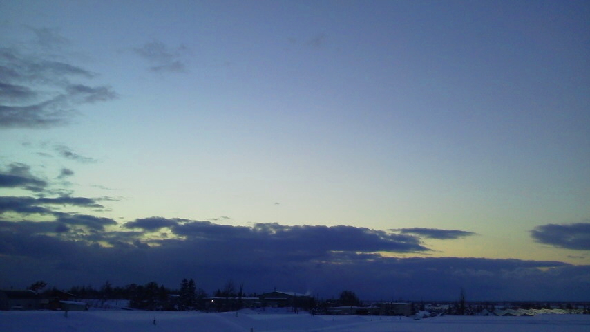 f:id:nyancotan:20201202155900j:plain