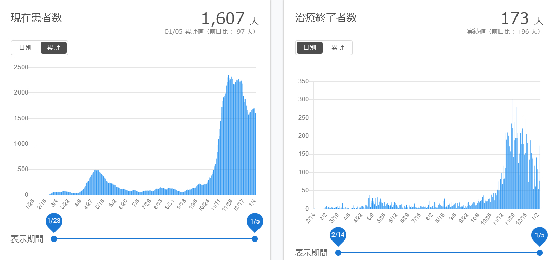 f:id:nyancotan:20210106114616j:plain