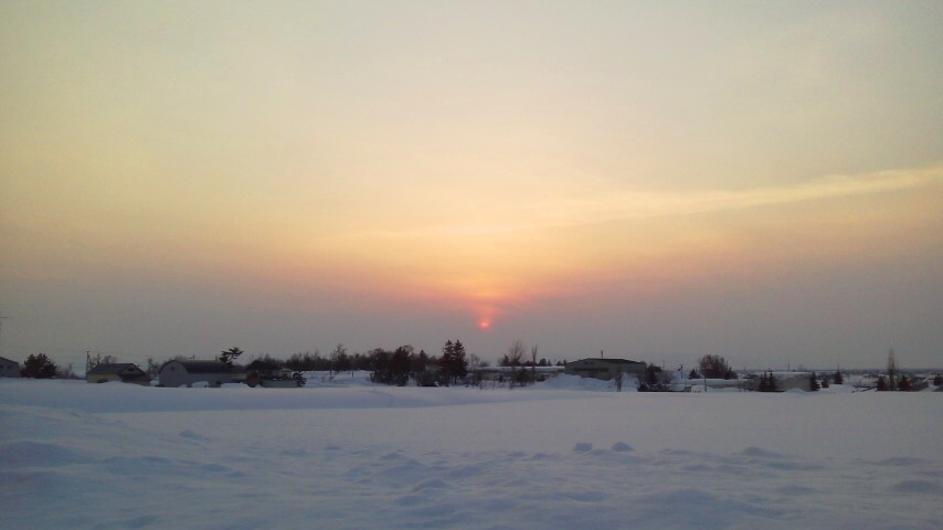 f:id:nyancotan:20210213164200j:plain