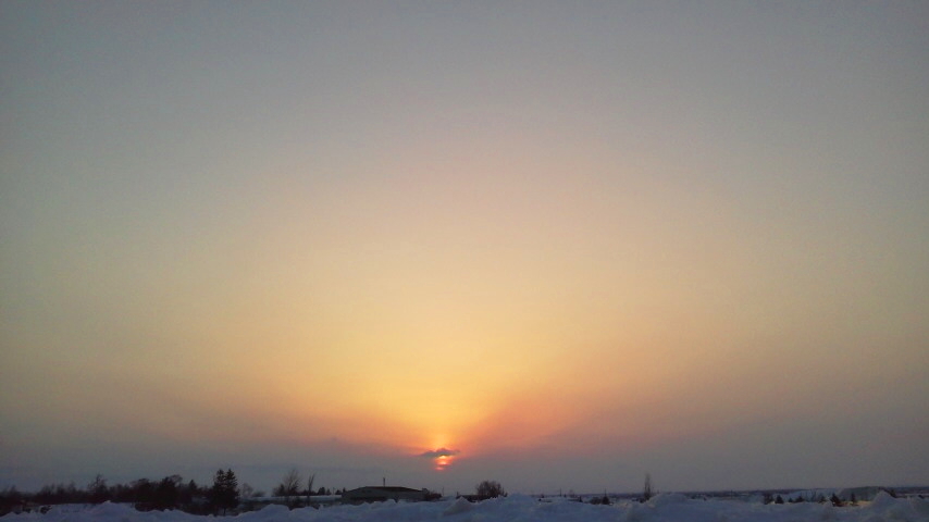 f:id:nyancotan:20210304171200j:plain