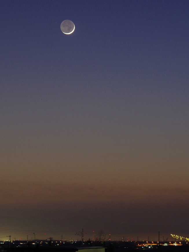 f:id:nyancotan:20210315183621j:plain