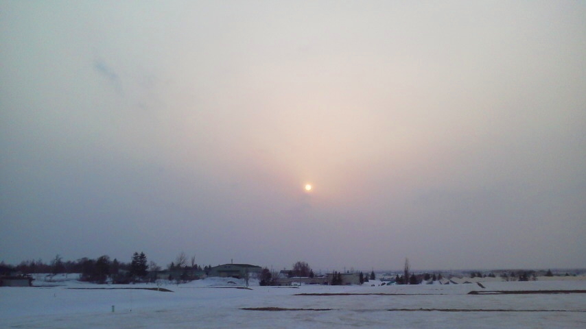 f:id:nyancotan:20210324170000j:plain
