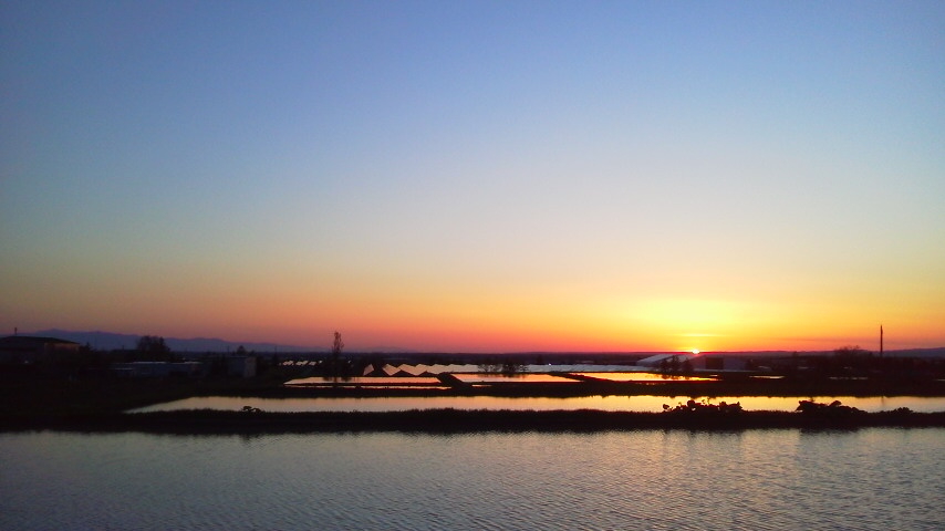 f:id:nyancotan:20210514184700j:plain