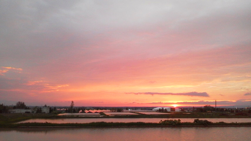 f:id:nyancotan:20210519185200j:plain