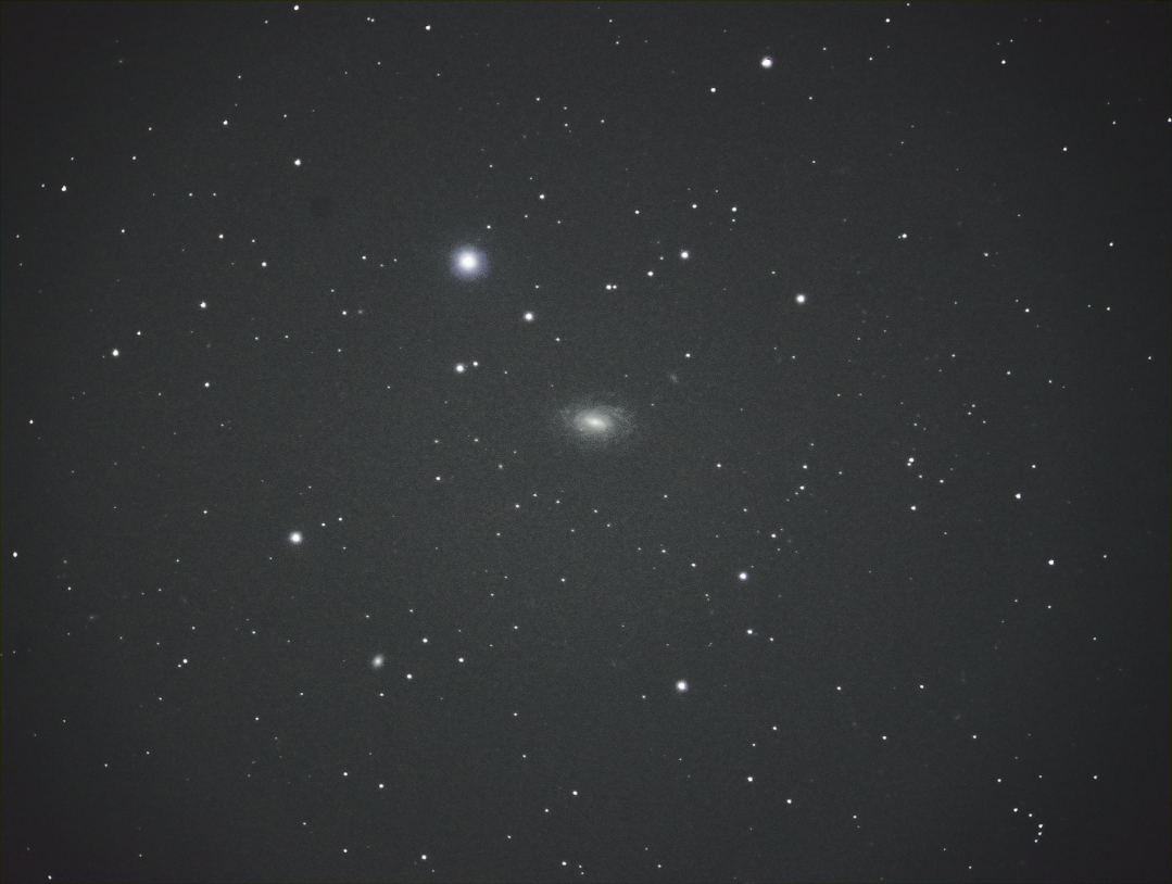 f:id:nyancotan:20210525072834j:plain