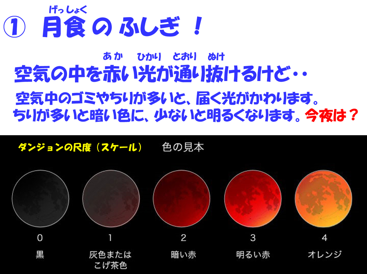 f:id:nyancotan:20210526093011j:plain