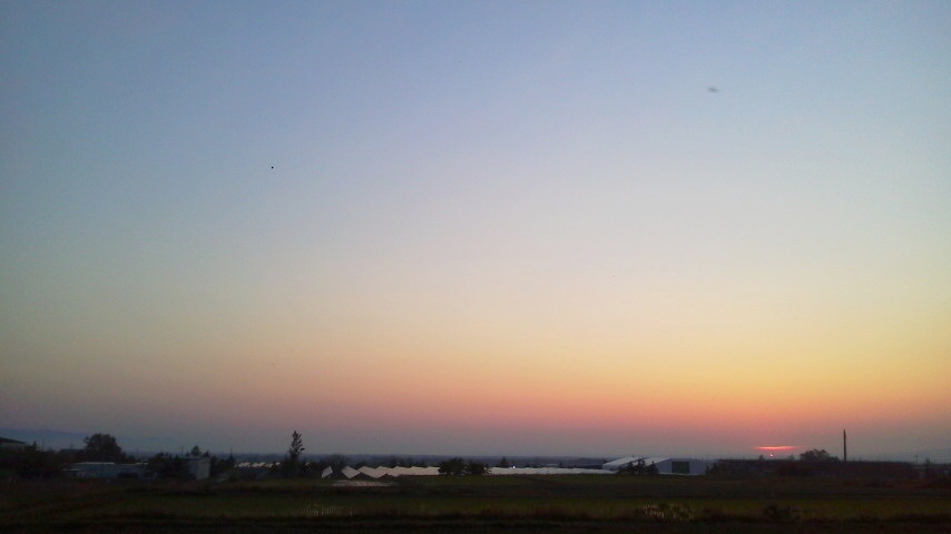 f:id:nyancotan:20210609190900j:plain