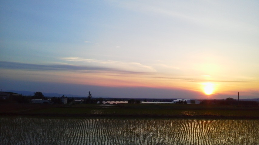 f:id:nyancotan:20210610185900j:plain