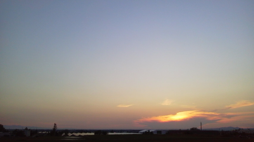 f:id:nyancotan:20210613190400j:plain
