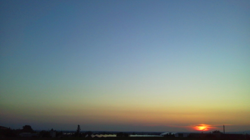 f:id:nyancotan:20210627191000j:plain