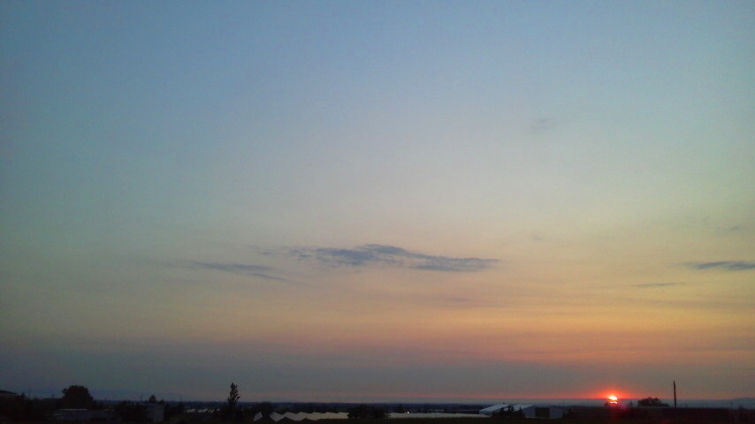 f:id:nyancotan:20210628191200j:plain