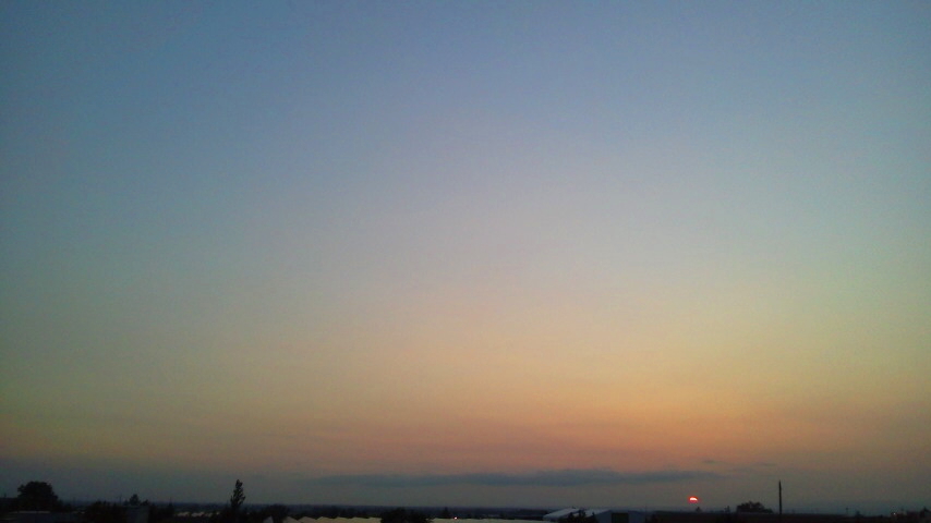 f:id:nyancotan:20210703191000j:plain