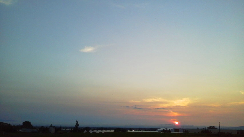 f:id:nyancotan:20210720185700j:plain