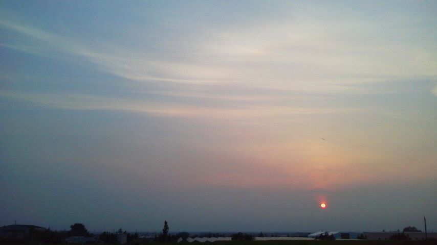 f:id:nyancotan:20210721184200j:plain