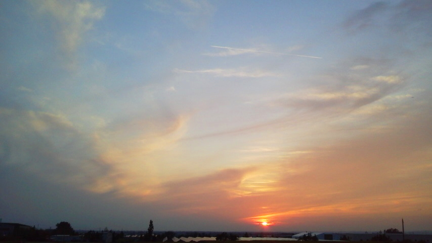 f:id:nyancotan:20210813183200j:plain