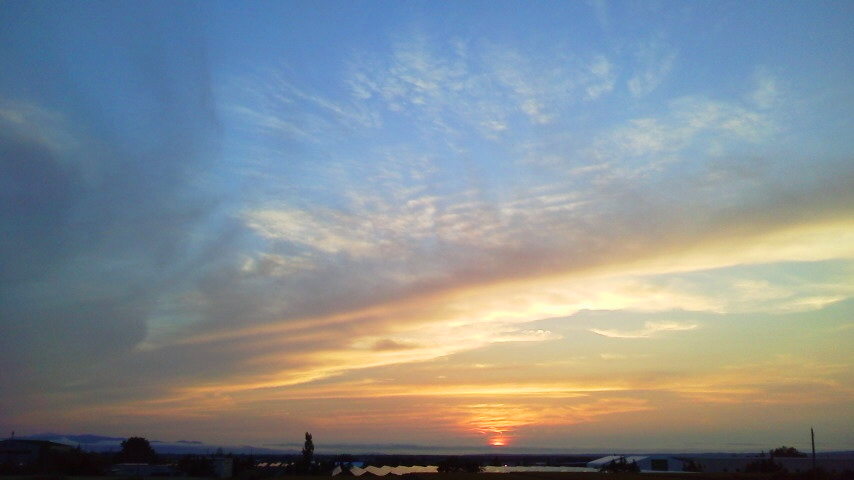 f:id:nyancotan:20210819182500j:plain