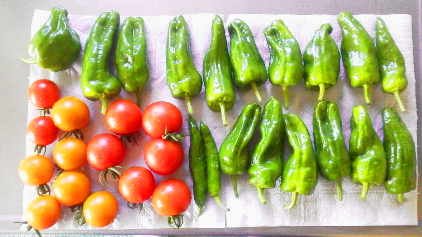 f:id:nyancotan:20210903083200j:plain