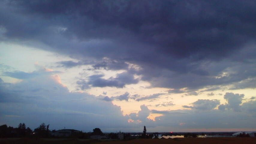 f:id:nyancotan:20210904180300j:plain