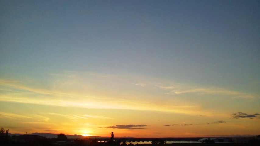 f:id:nyancotan:20210925172200j:plain