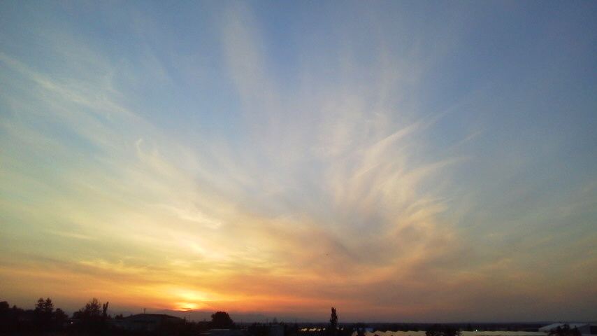 f:id:nyancotan:20211009165400j:plain