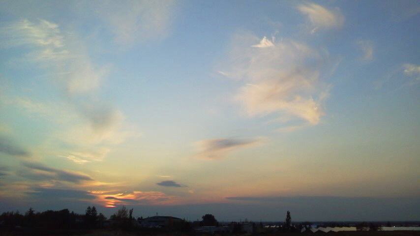 f:id:nyancotan:20211027162000j:plain