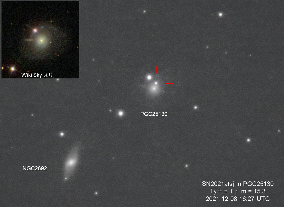 f:id:nyancotan:20211210075003j:plain