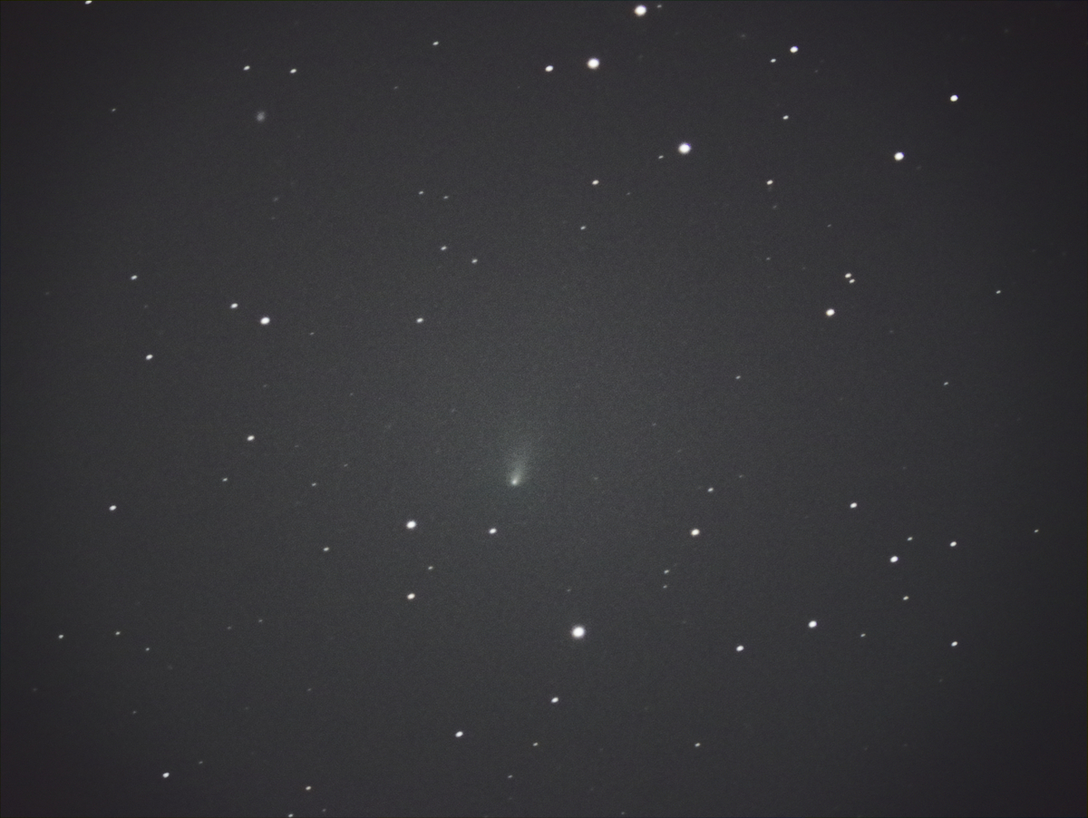 f:id:nyancotan:20220125075334j:plain