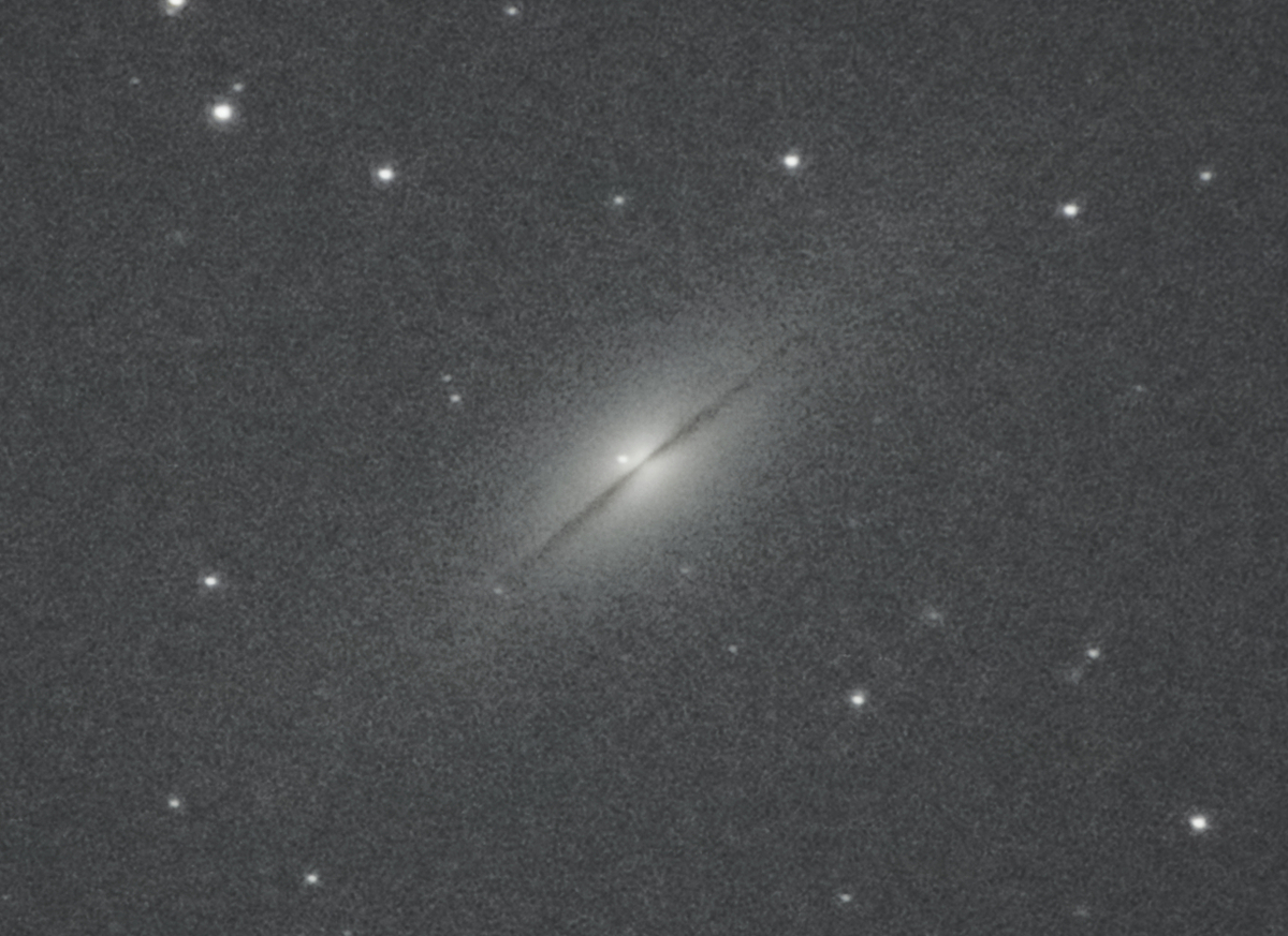 f:id:nyancotan:20220225100412j:plain