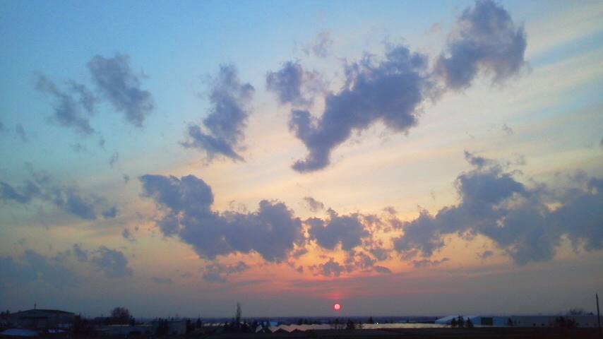f:id:nyancotan:20220417181000j:plain