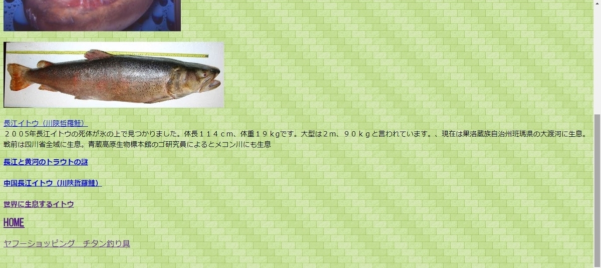 f:id:nyandaro:20190501153947j:plain f:id:nyandaro:20190501153947j:plain