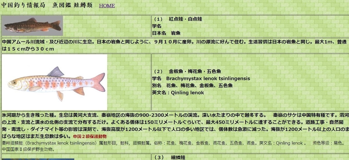 f:id:nyandaro:20190501154135j:plain f:id:nyandaro:20190501154135j:plain