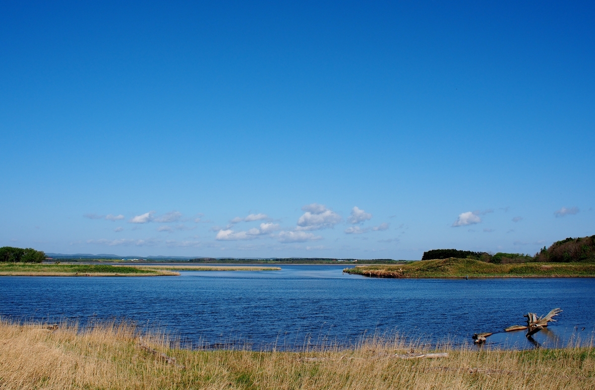 f:id:nyandaro:20190625170240j:plain f:id:nyandaro:20190625170240j:plain