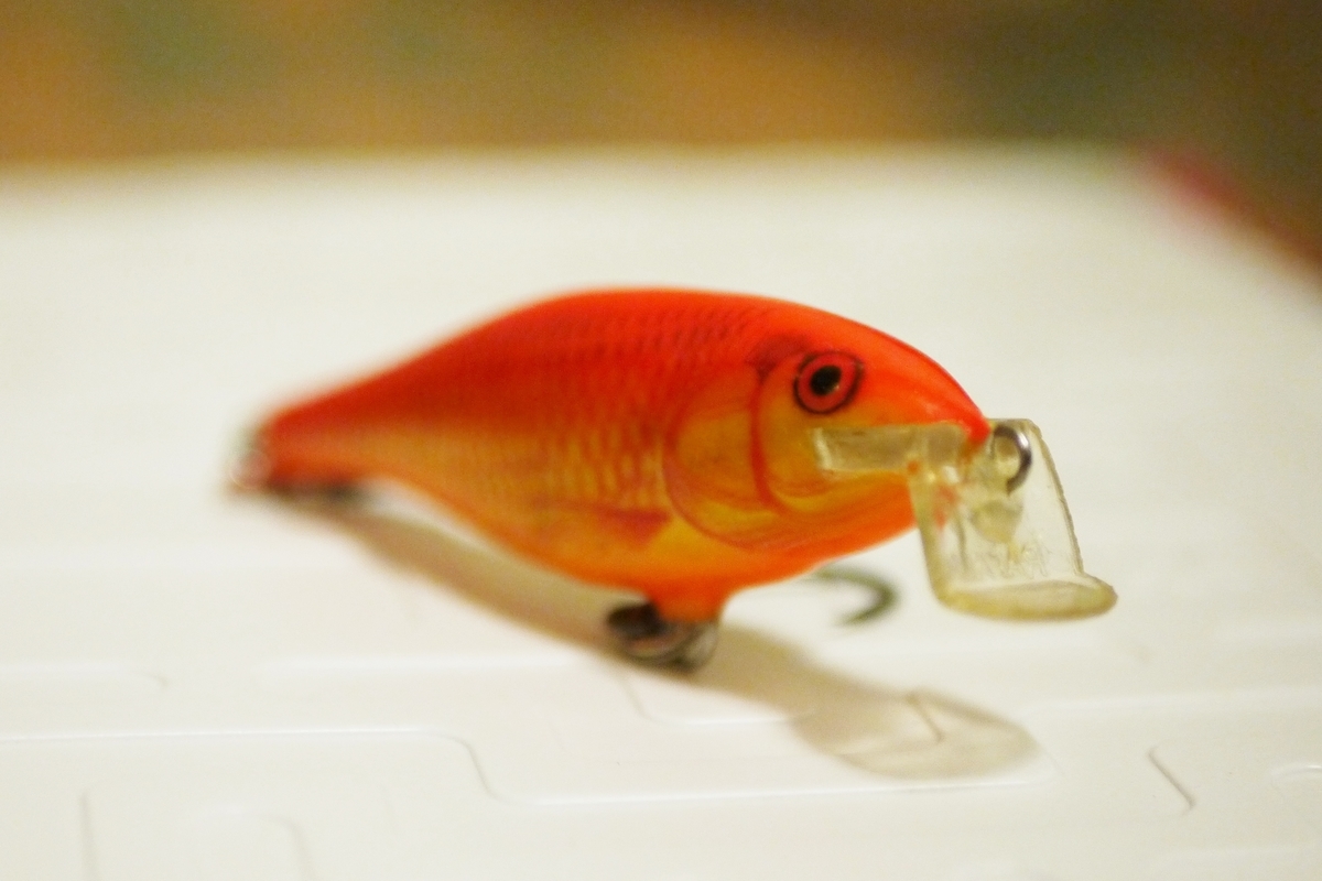 魚の側線とルアーやフライの波動について 釣りにゃんだろう 魚の側線とルアーやフライの波動について 釣りにゃんだろう