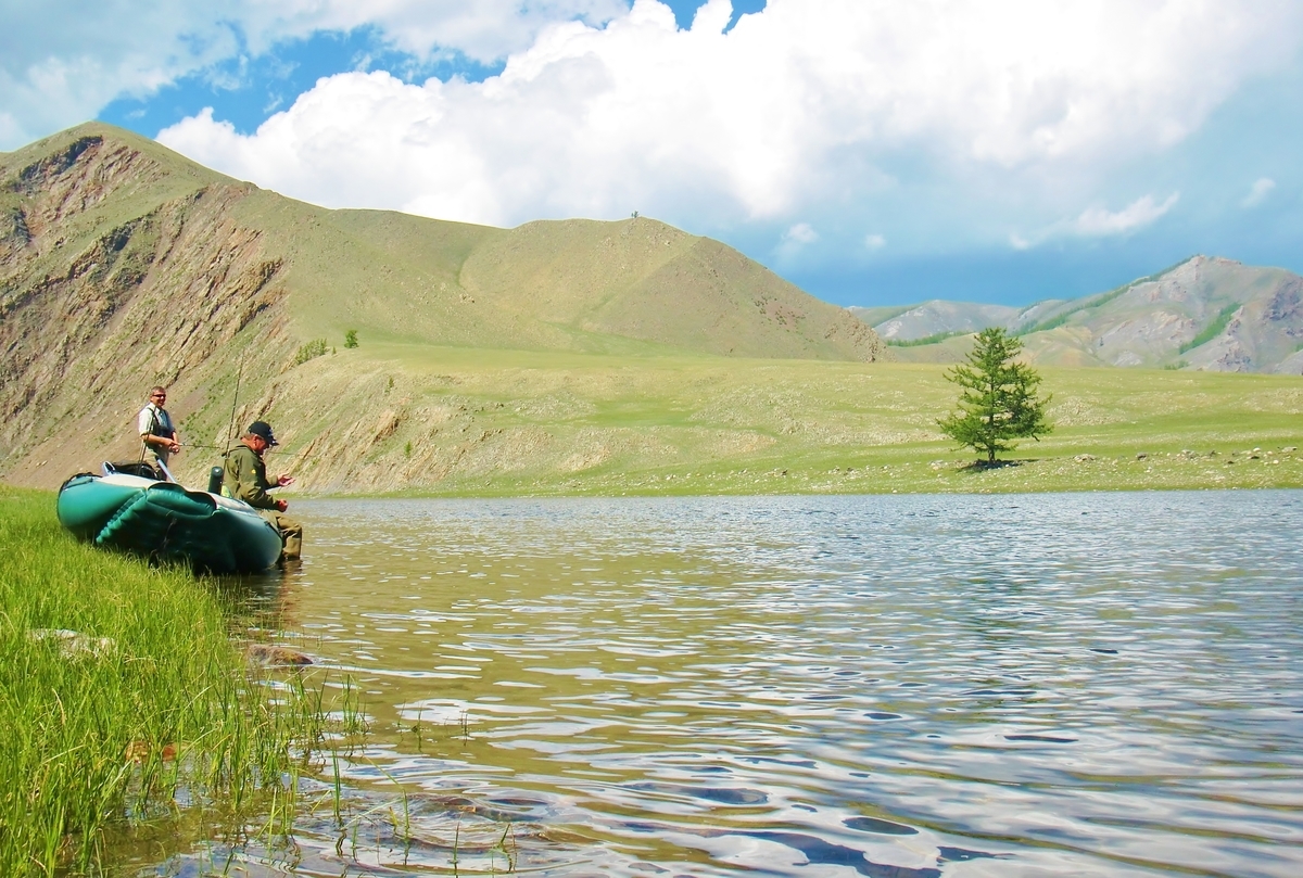ｐｅラインを直結で使ってはいけないのか 釣りにゃんだろう
