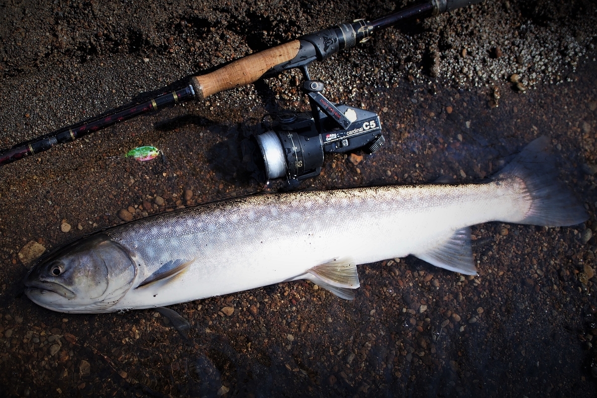 ロッドを買う時に 何を重視するべきか 釣りにゃんだろう