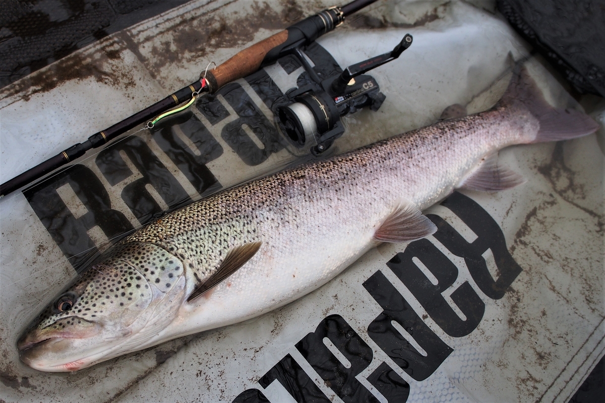 ロッドを買う時に 何を重視するべきか 釣りにゃんだろう